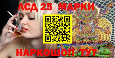 гидра Кандалакша