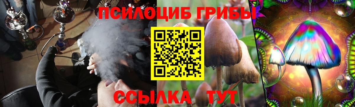 Железногорск  Псилоцибиновые грибы Psilocybine cubensis  Вход с VPN 