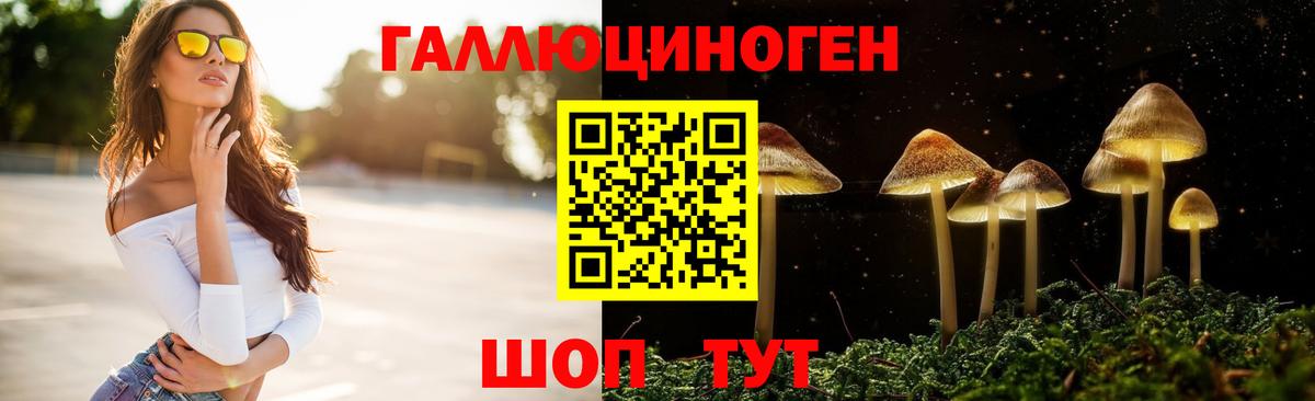 Галлюциногенные грибы Psilocybe Железногорск